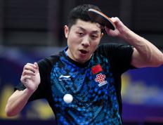 IM体育数据分析平台-奥地利乒乓球队力克比利时乒乓球队，许昕高光表现的简单介绍