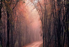 IM体育赛事直播入口-末节之王！武切维奇独揽18分接管比赛，山西队险胜开拓者