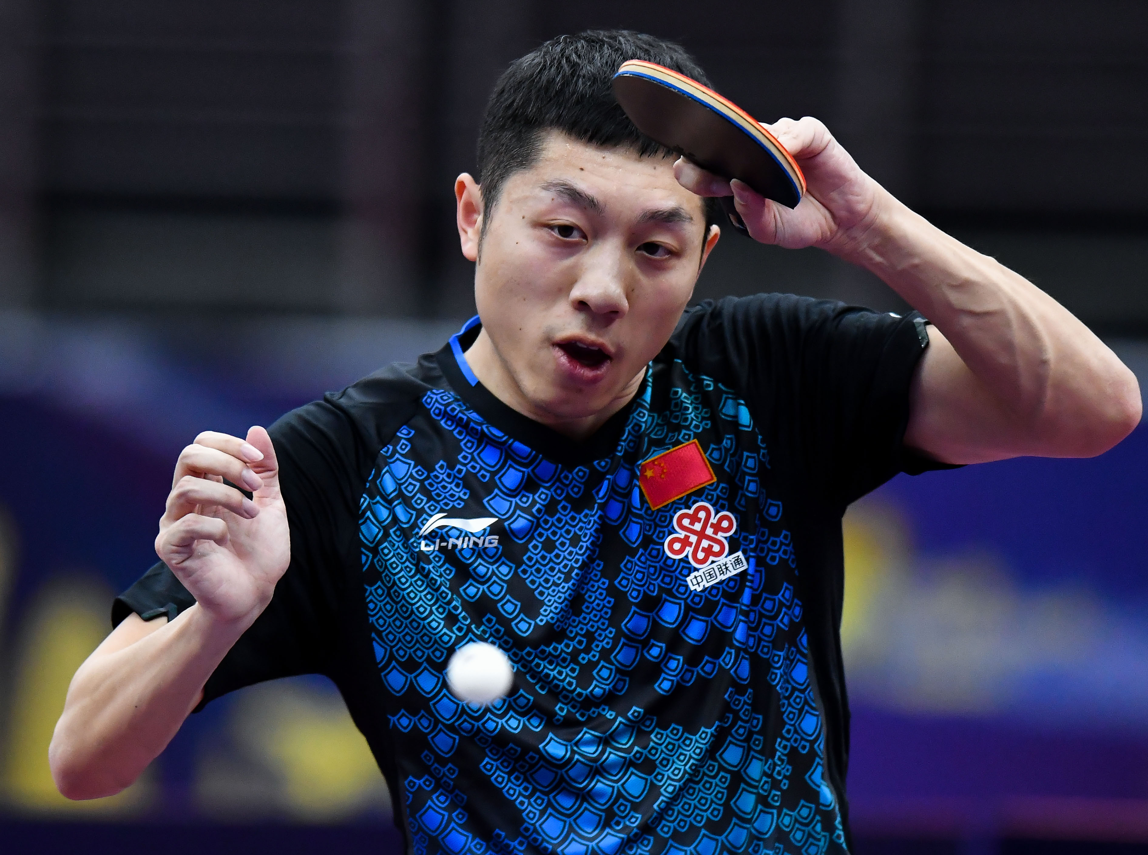 IM体育数据分析平台-奥地利乒乓球队力克比利时乒乓球队,许昕高光表现的简单介绍