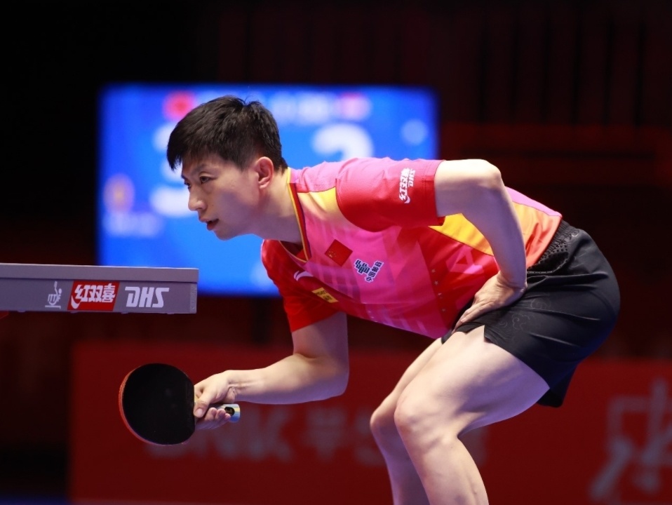 IM体育动画直播通道-关于日本队逆转葡萄牙队，马龙惊艳四座的信息